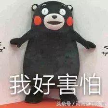 5岁小朋友的简历一夜爆火！网友：看完我不打算要孩子了……