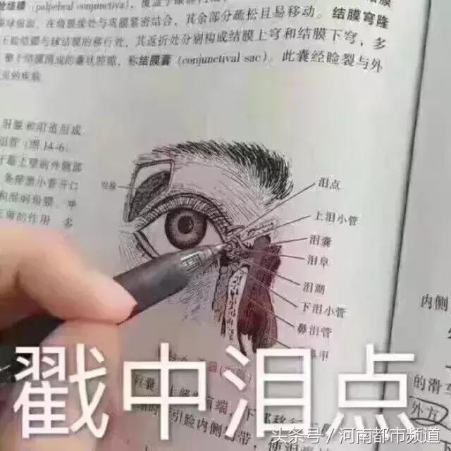 5岁小朋友的简历一夜爆火！网友：看完我不打算要孩子了……