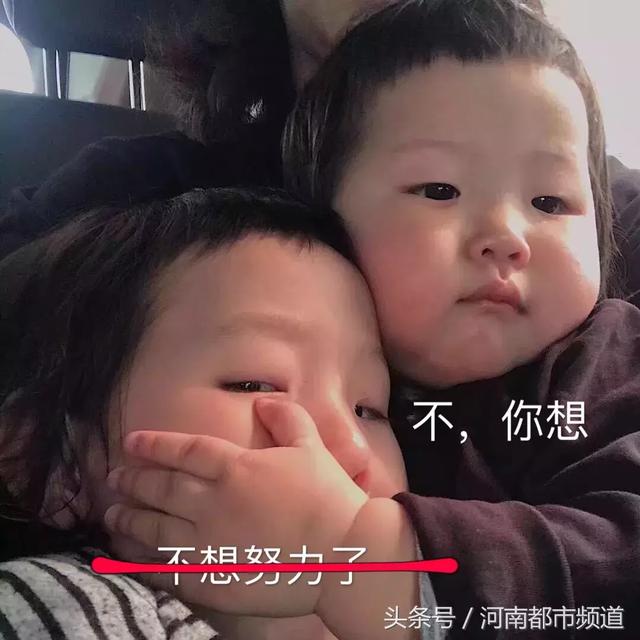 5岁小朋友的简历一夜爆火！网友：看完我不打算要孩子了……