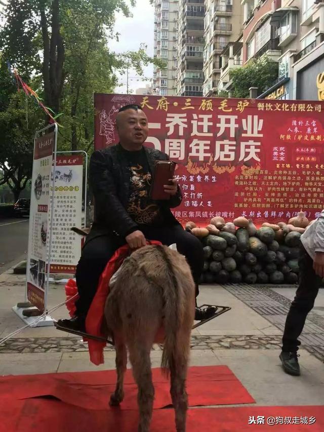 四川南充:好耍好玩好吃,南充首届毛驴文化节将在这里举行