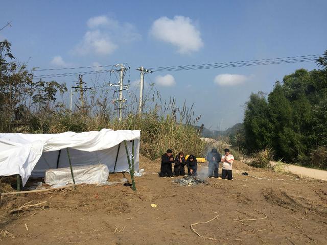 四川营山县一企业建种猪场“撬祖坟”引发争议