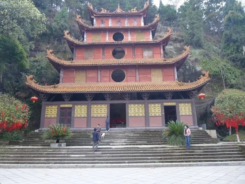 新鲜出炉南充桑葚采摘地图大全来了一次吃个够收藏起来五一就去吧