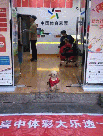 jkkjkjn.gif