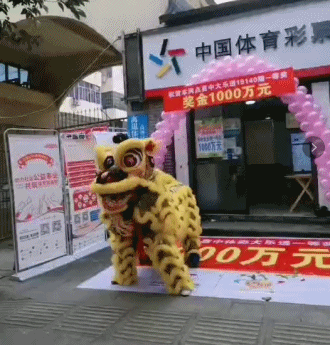 caiqing.gif