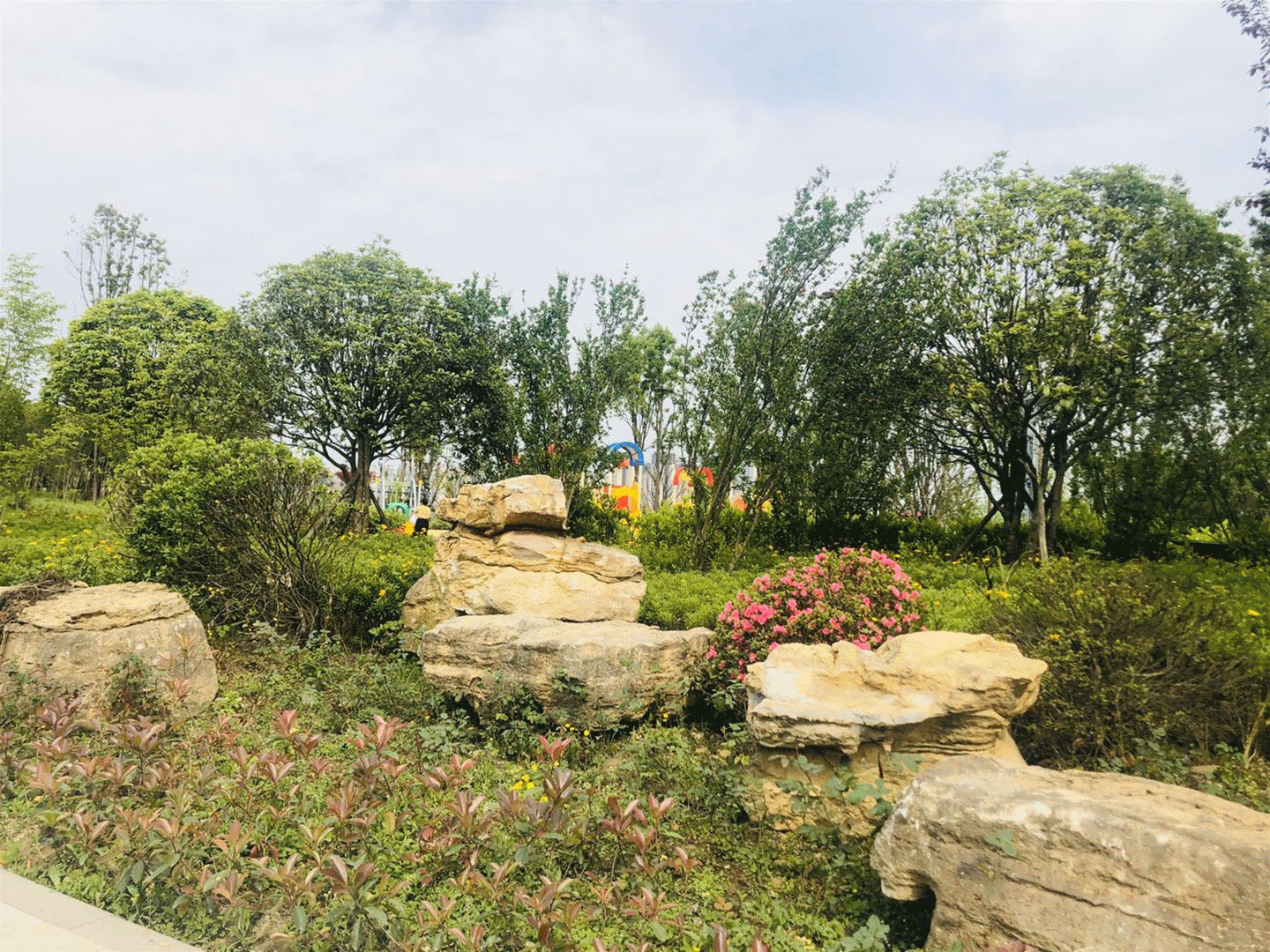 微信图片_2020041309491220_副本.gif