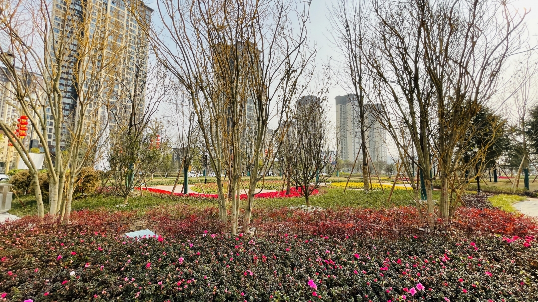微信图片_202102080908161.jpg