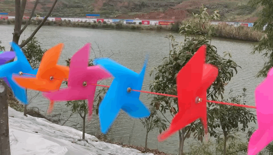 QQ图片20210216094844.gif