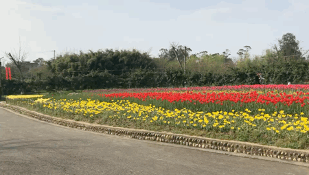 QQ图片20210313182656.gif