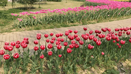 QQ图片20210313182702.gif