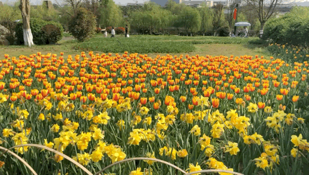 QQ图片20210313182705.gif