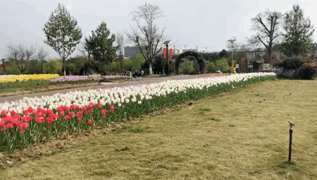QQ图片20210313191136.gif