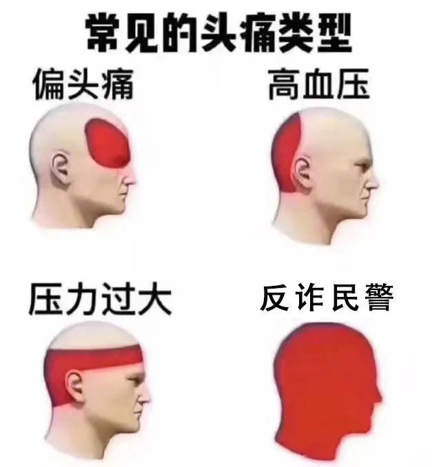 1635903467575.jpg